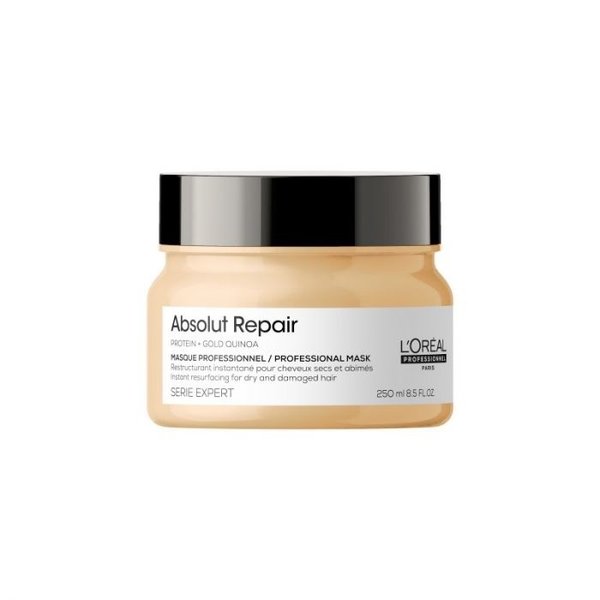 Serie Expert Absolute Repair Mask 250ml