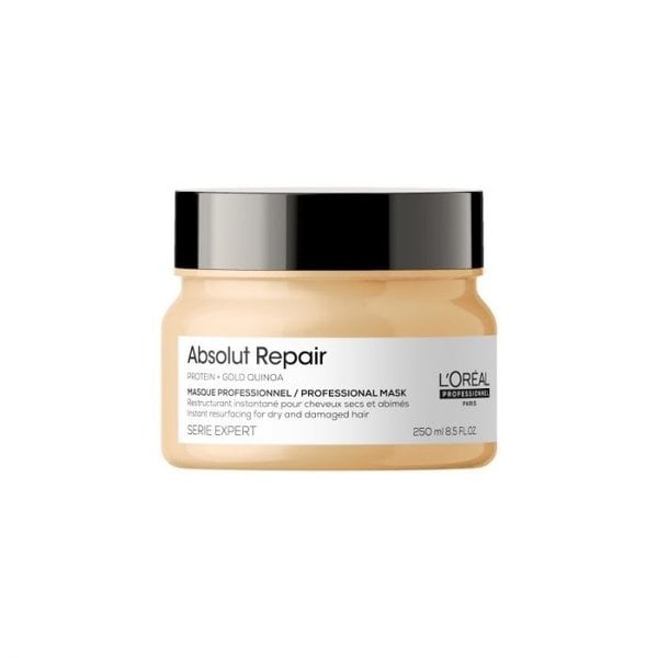 Serie Expert Absolute Repair Masker 250ml