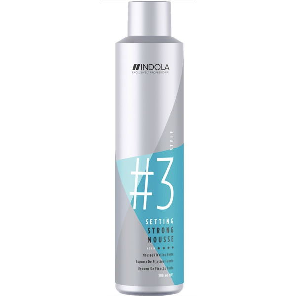 Style Mousse Forte, 300 ml