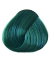 Directions Colors Alpine Green 88ml