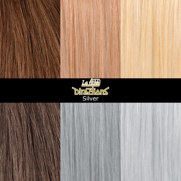 Directions Colors Silver 88ml