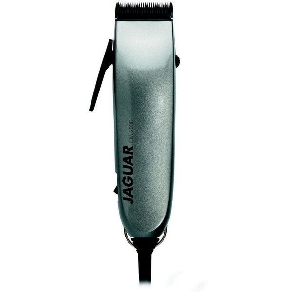 CM 2000 VDE Silver
