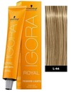 Lumières de mode Igora Royal