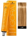 Lumières de mode Igora Royal