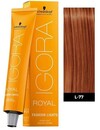 Lumières de mode Igora Royal