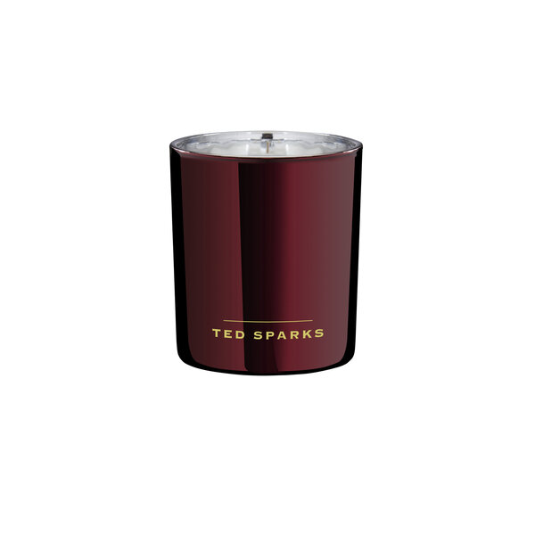 Bouleau & Patchouli Demi