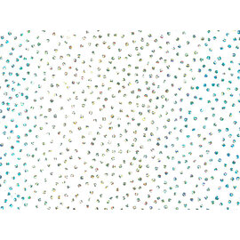 rotalia Rotalia 75601 H HOLOGRAFISCH PAPIER