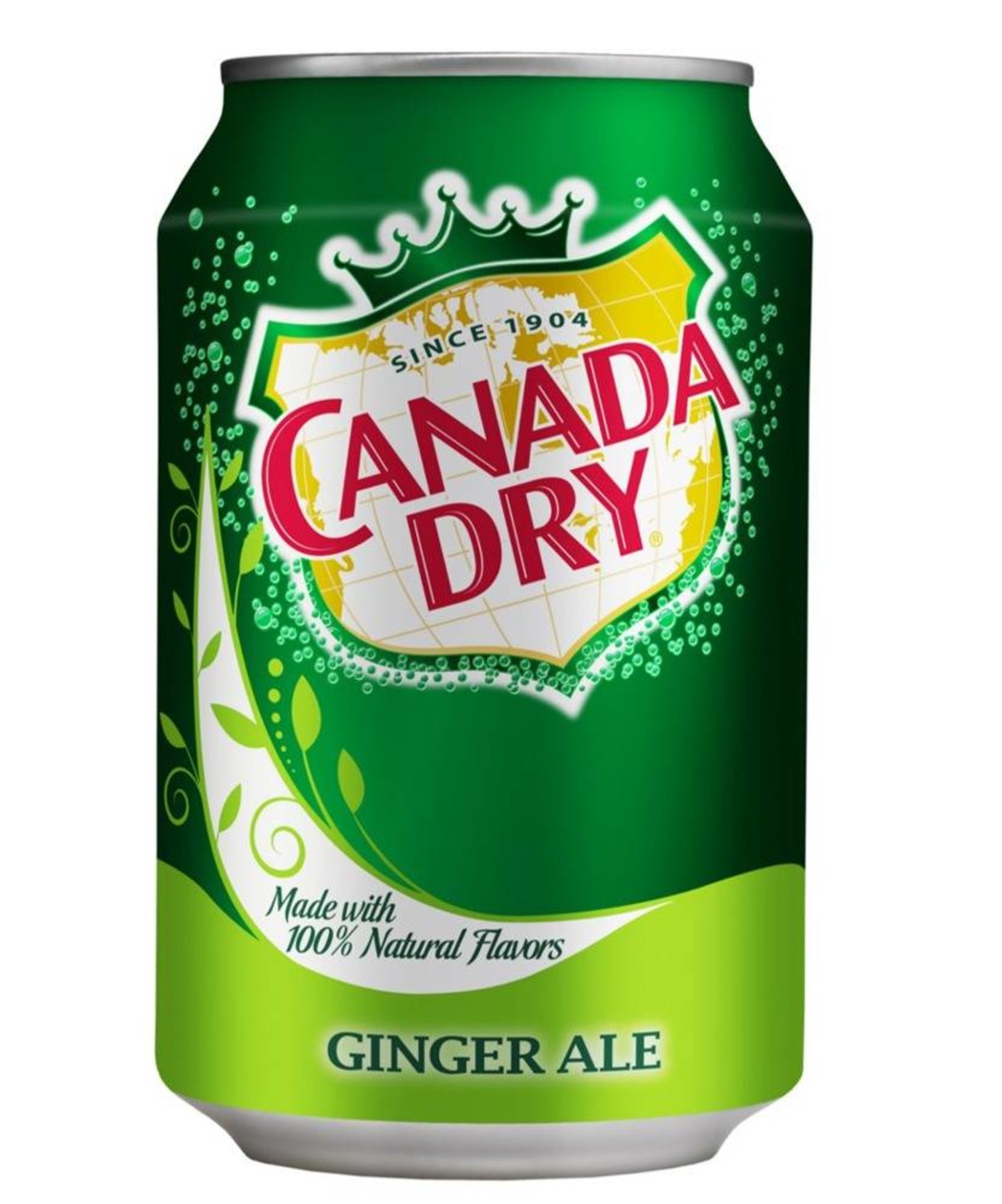 Canada Dry Ginger Ale 330ml American soft drink Kellys Expat Shopping