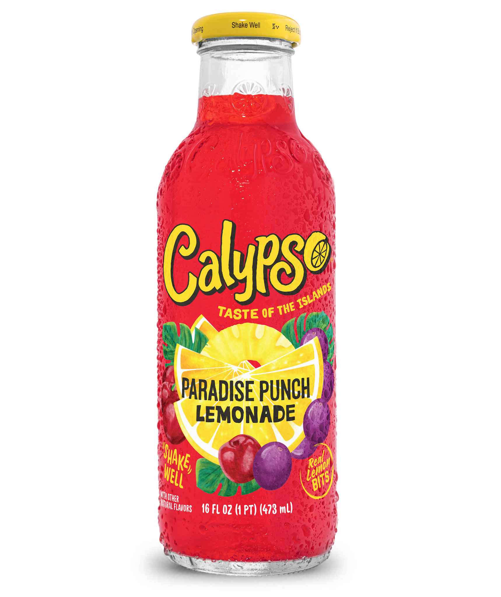 Calypso Paradise Punch Lemonade 473ml American Drinks Kellys Expat