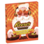 Reese's Variety Advent Calendar 245g