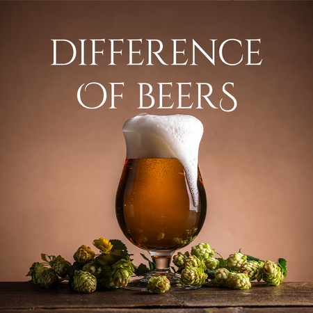 The Difference of Beer - What You're Looking For!