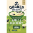 Quaker 10pk Apple & Blueberry Oat So Simple 360G