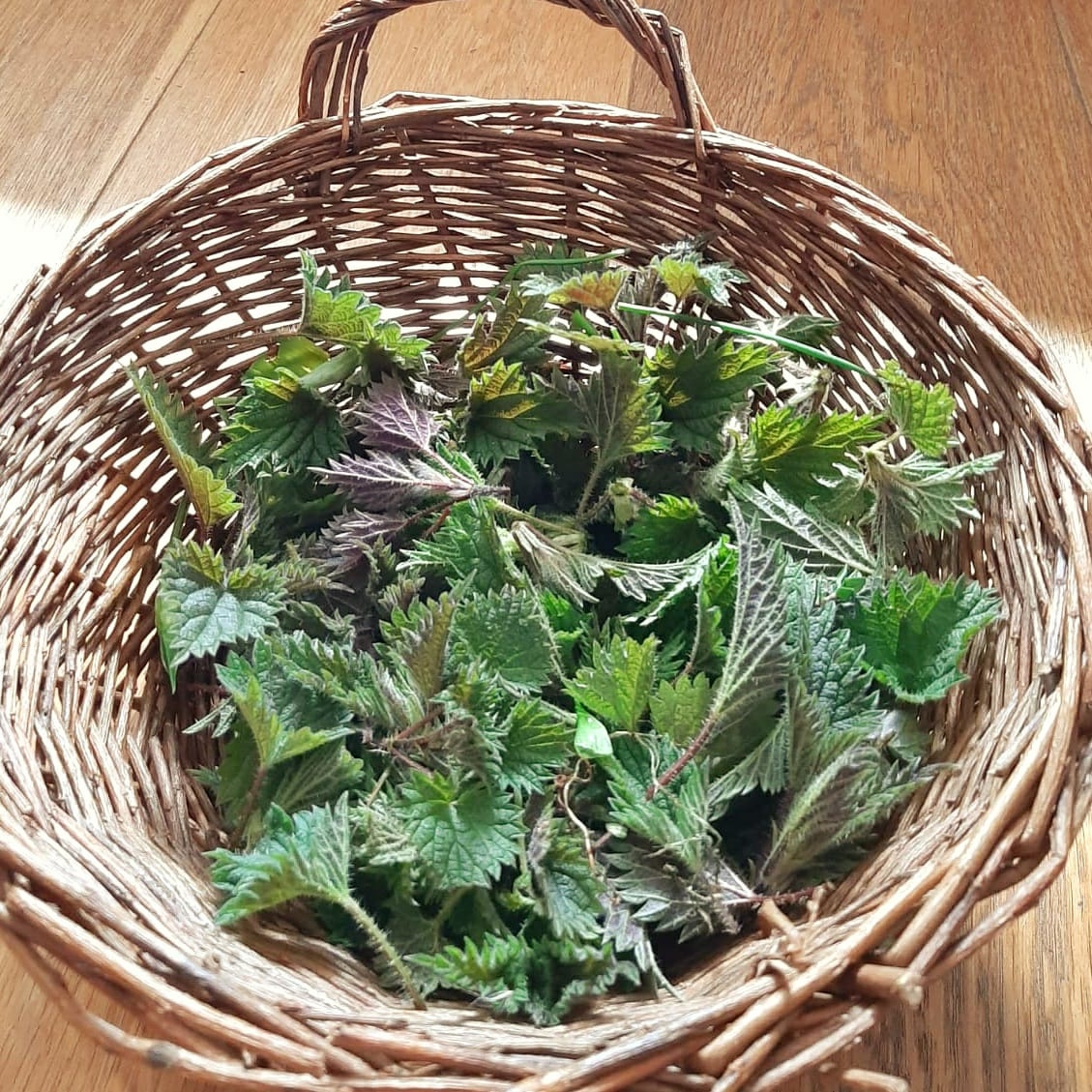 Basket of nettle leaves