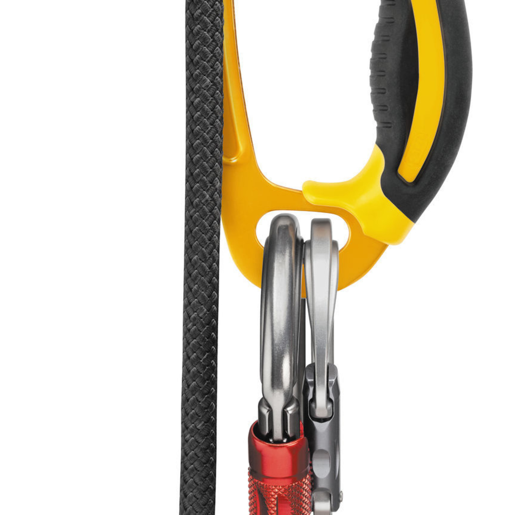 Petzl Ascension Ascender