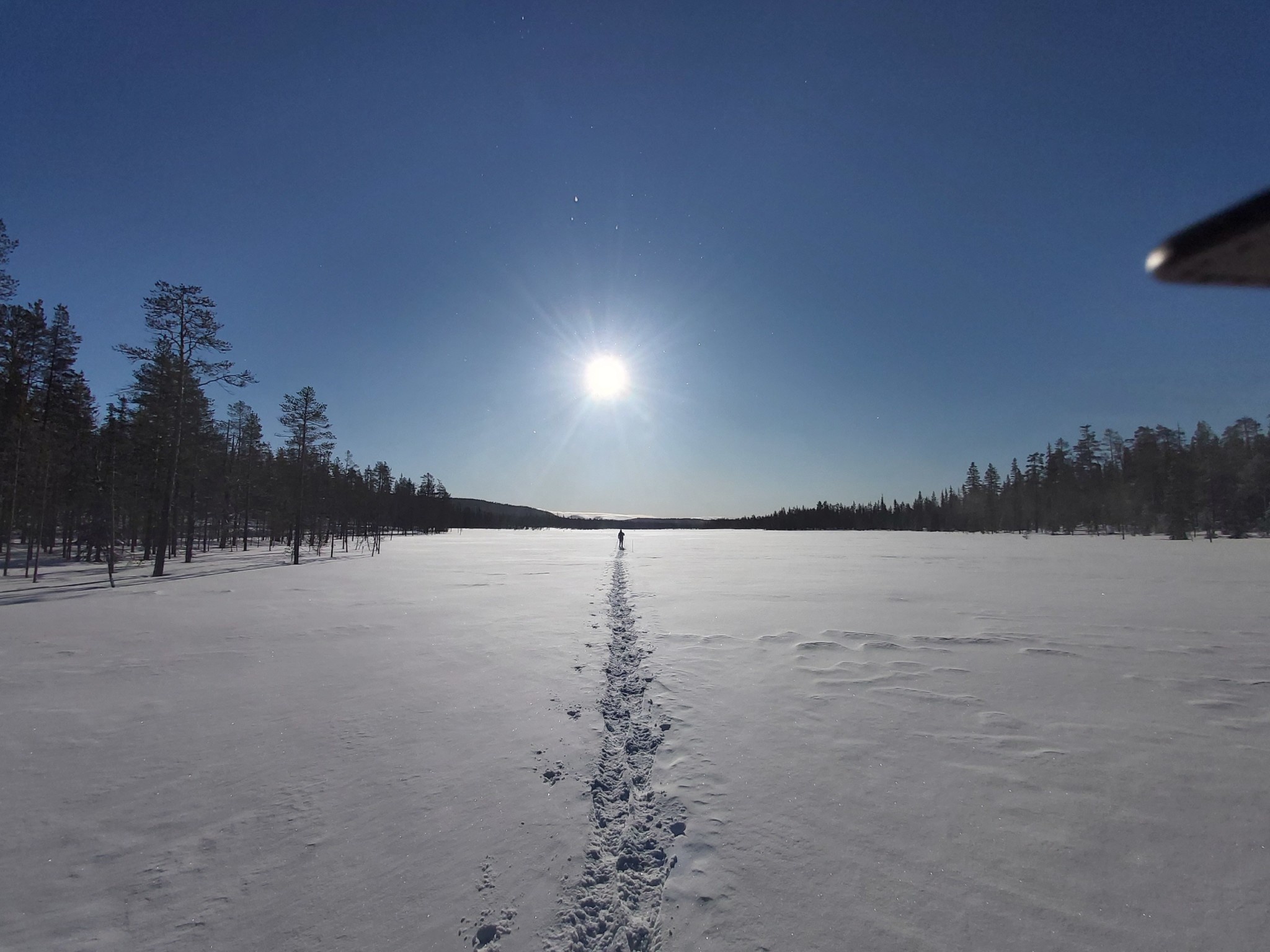 canadian arctic expeditions        
        <figure class=