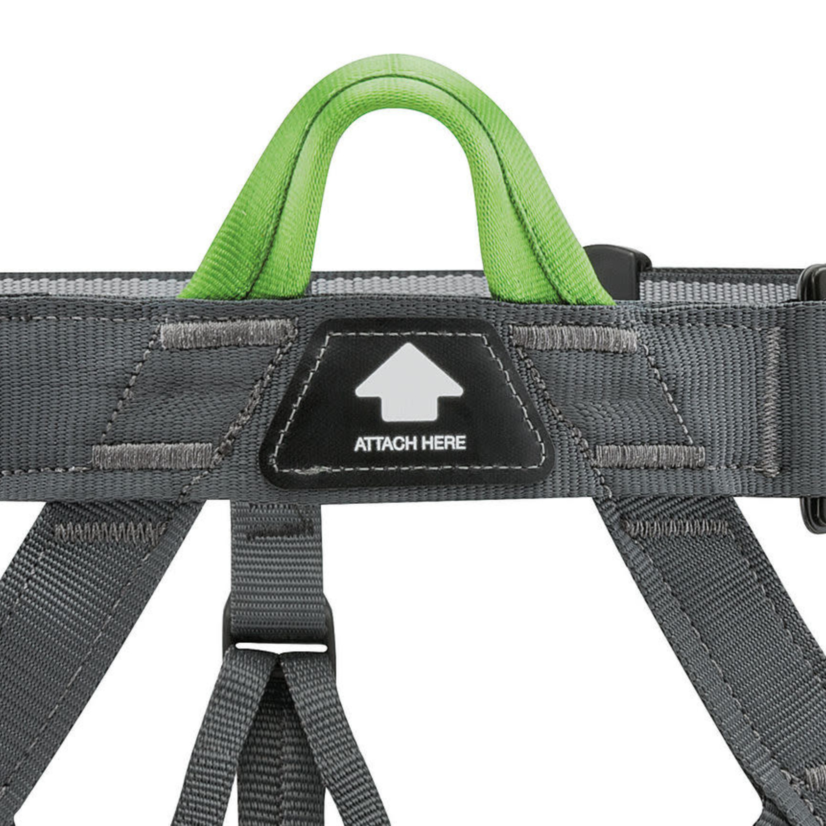 Petzl Pandion Harness