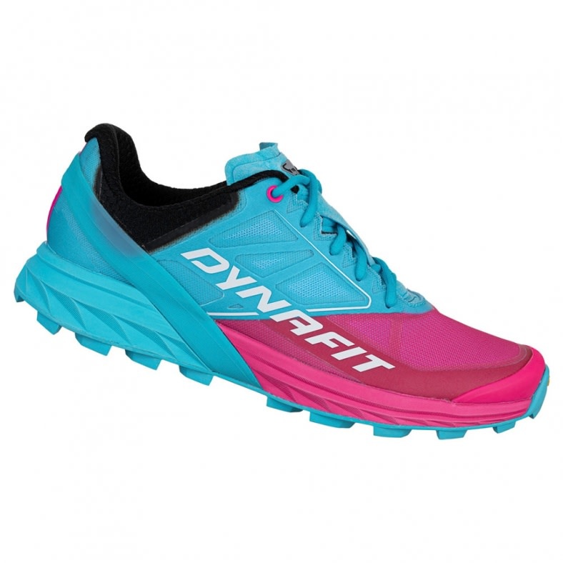 Dynafit Alpine Women's Trail Running Shoe
