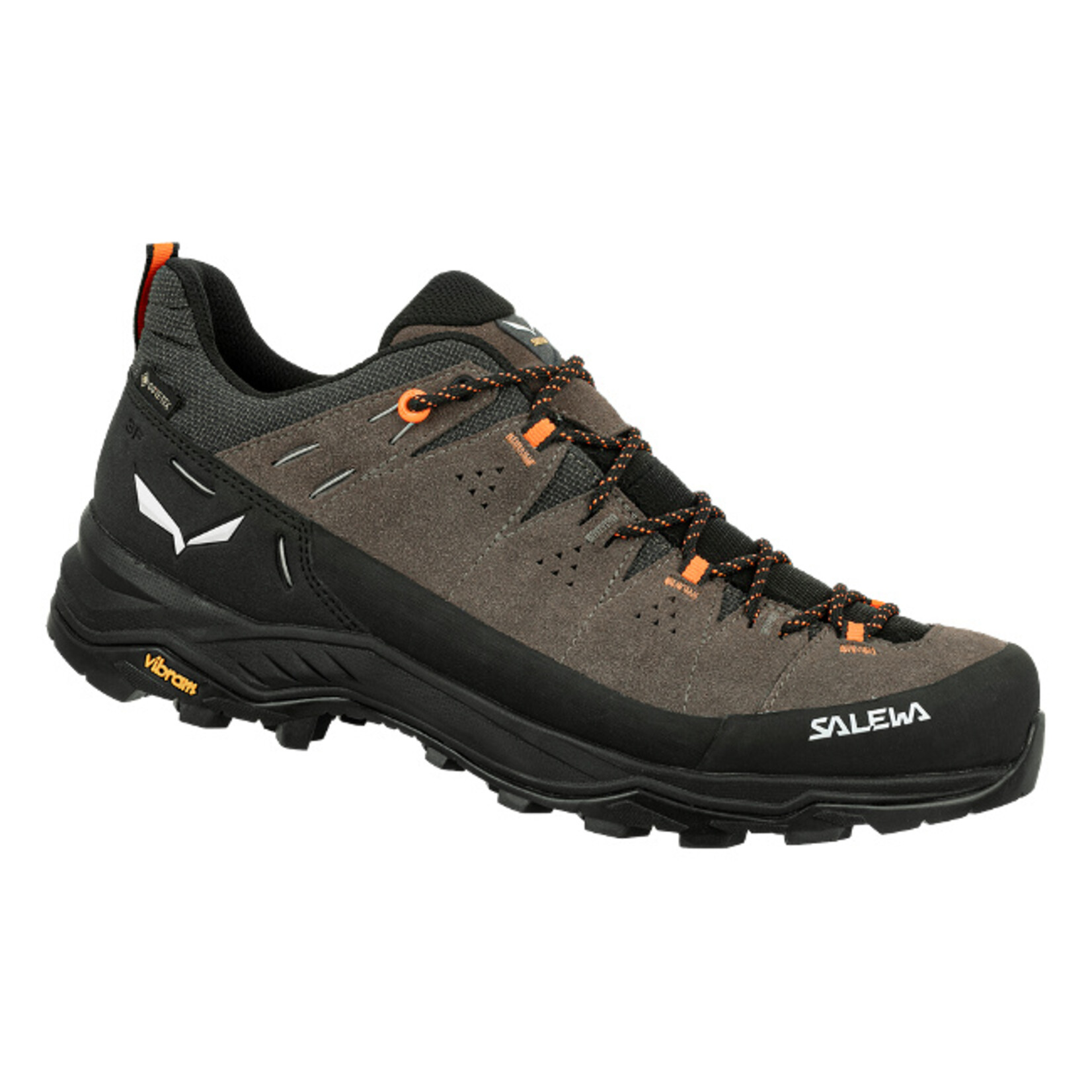 Salewa Men's Alp Trainer 2 GTX