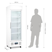 Vitrine réfrigérée vertical porte vitrée Blanc 368L - 190x62x57 cm