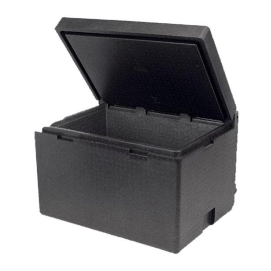 Cargo Box Isotherme | Couvercle Rabattable | 80,0x60,0x52,0(h)mm