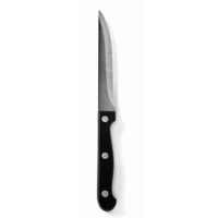 Couteau à Steak | Inox | 21,5cm