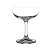 Olympia Lot de 12 coupes  de champagne | 18 cL