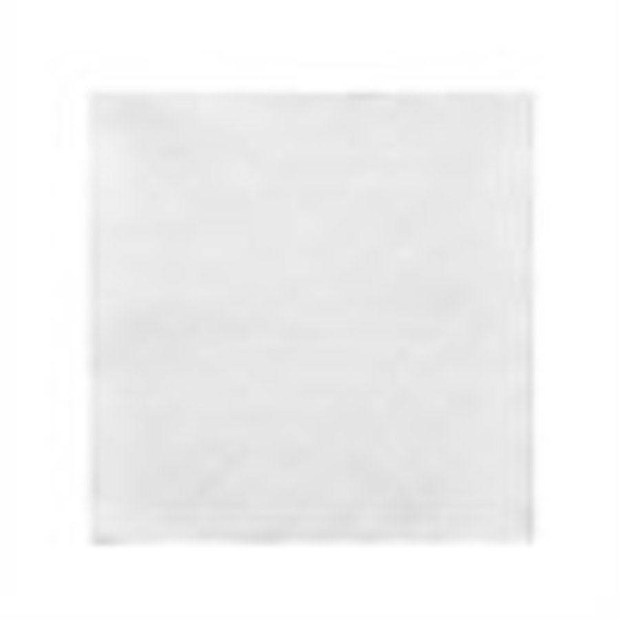 Serviettes blanches recyclables 1 pli - 250 x 250mm