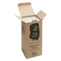 Pailles en papier compostables Fiesta Green argentées | 210 x 6mm (lot de 250)