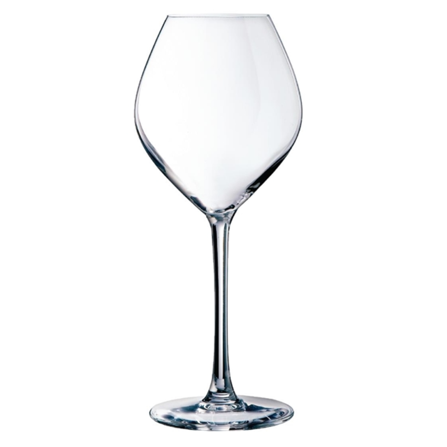 Verres à vin blanc Arcoroc | 350ml | lot de 24