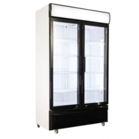 Vitrine pour Boissons Double-portes en verre Noir Blanc 750L