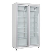 Grand Réfrgérateur 2 portes en verre Blanc 785L | 1027x459x1755mm