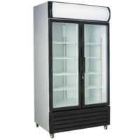 Grand Réfrigérateur 2 portes vitrées pivotantes Gris Noir 670L