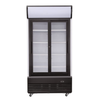 Réfrigérateur 2 portes pivotantes en verre Noir 800L| 1 x 0,73 x 2,135 m