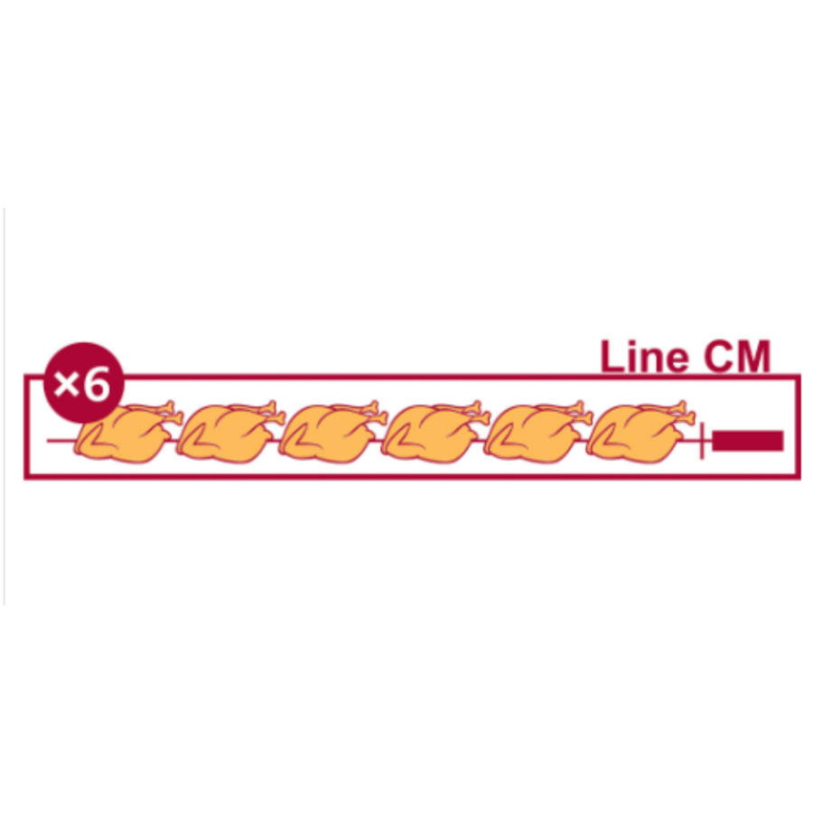 Rôtissoire 3 broches | Gaz | 18 poulets