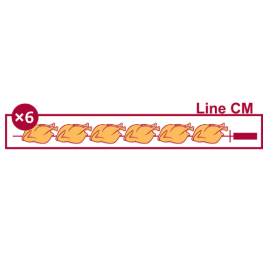 Rôtissoire 4 broches | Gaz | 24 poulets