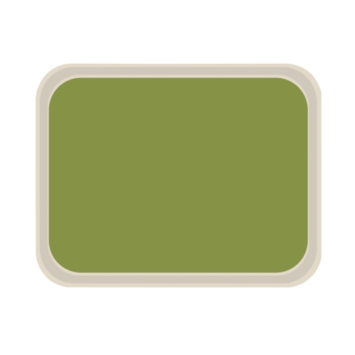  roltex Plateau de service vert en polyester | 46x36 cm 