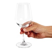 Verres à vin Mendoza 455ml (lot de 6)