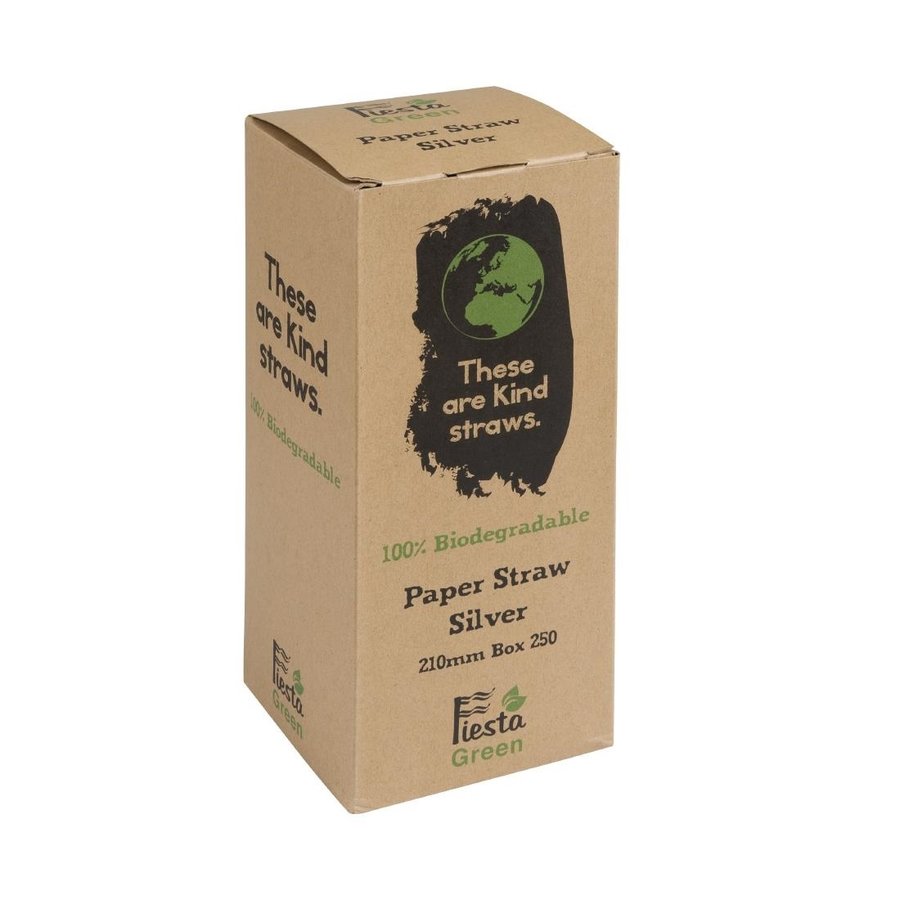 Pailles en papier compostables Fiesta Green argentées | 210 x 6mm (lot de 250)