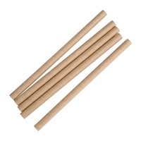 Pailles à smoothie compostables en papier Fiesta Compostable kraft 210 x 10mm (lot de 250)