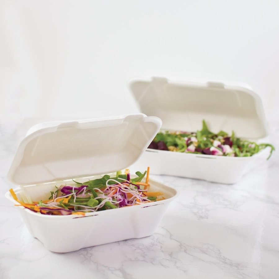 Boîtes repas en bagasse compostables avec couvercle à charnière | 74 x 228 x 155mm (lot de 200)