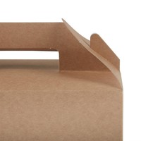 Petites boîtes à emporter kraft recyclables | 97 x 228 x 122mm  (lot de 125)