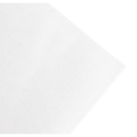 Serviettes en papier compostables 48 x 48 cm (lot de 360)