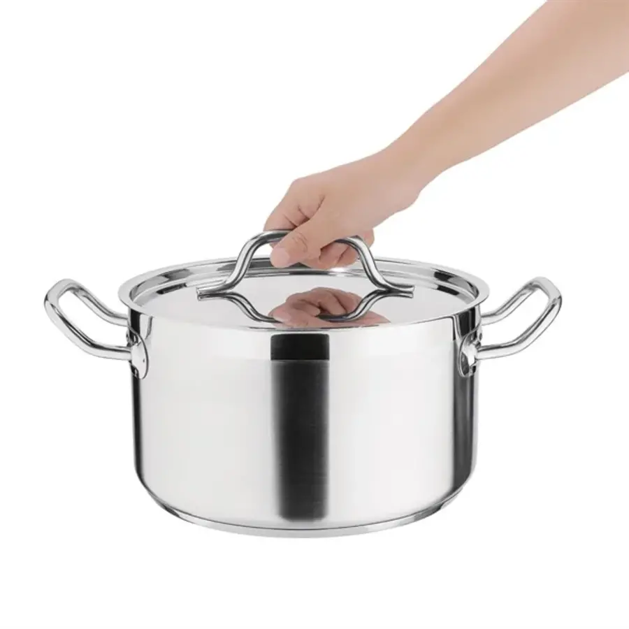 cuisinière à induction en acier inoxydable 24 cm 5,6 L