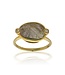 Jeh Jewels Jèh Ring G14K + Labradoriet 0.02ct H/SI m.17