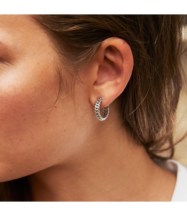 Oorbellen Ben Small | Juwelier De Vaal