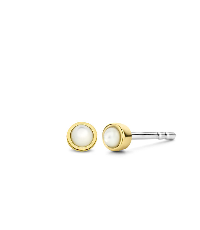 TI SENTO - Milano TI SENTO - Milano Earrings 7874MW