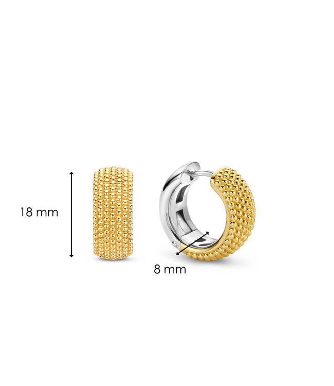 TI SENTO - Milano Earrings 7895SY