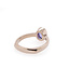 W. de Vaal 14 krt. white gold ring with tanzanite