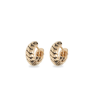Ben Goud Oorbellen 14kt YG