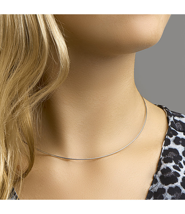 Zilver collier omega rond